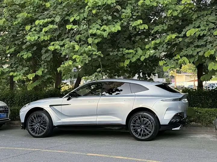 Aston Martin DBX 2023 2023款 4.0T V8 707