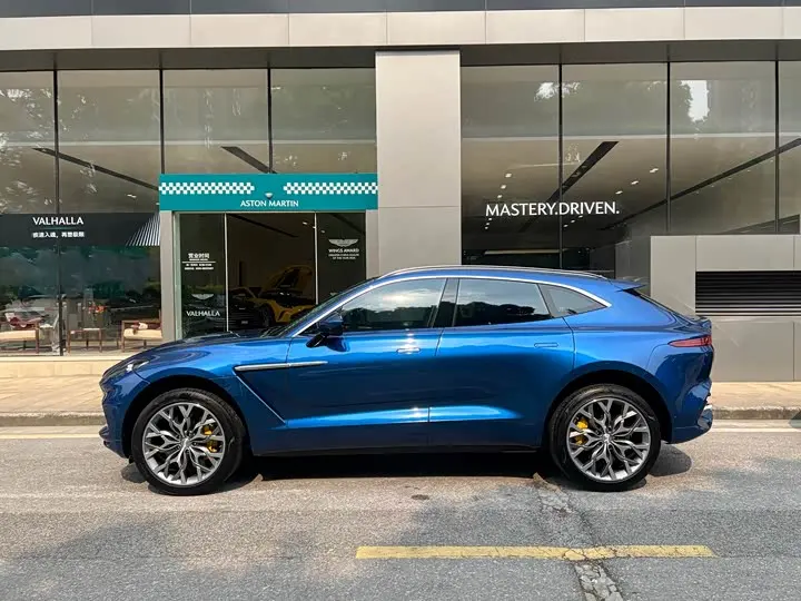 Aston Martin DBX 2024 2024款 4.0T V8