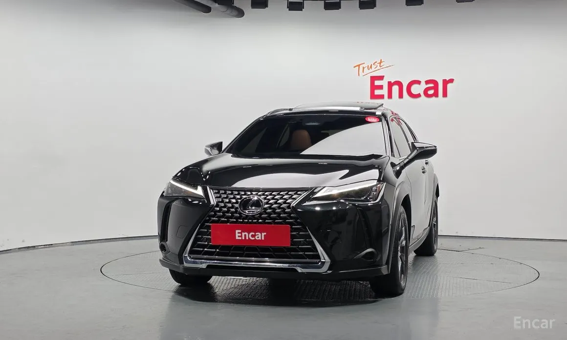Lexus UX 2024 2.0 2WD