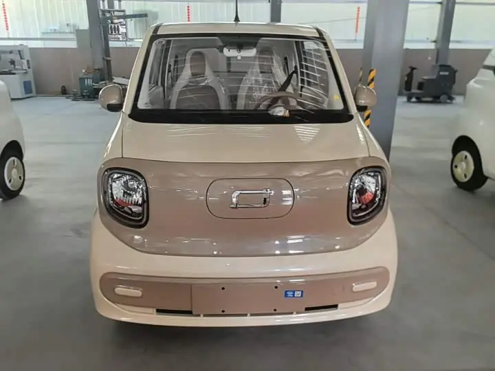Bestune Pony 2026 2026款 222km 炫彩马