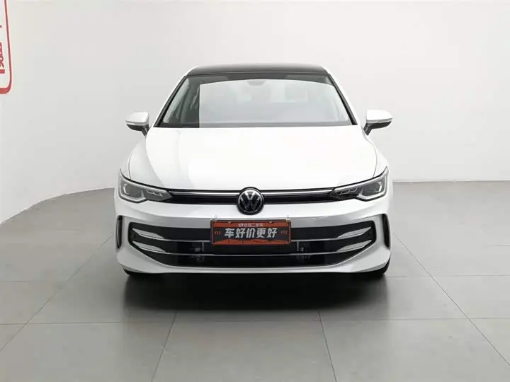 Volkswagen Golf 2026 2026款 300TSI Pro
