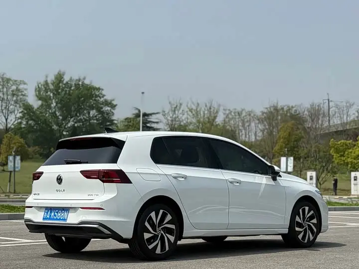 Volkswagen Golf 2025 2025款 改款 300TSI Pro