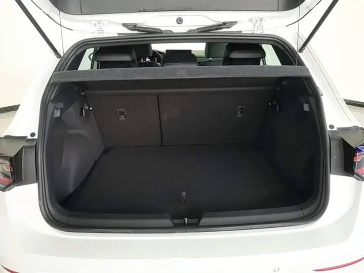 Volkswagen Golf 2025 2025款 300TSI R-Line