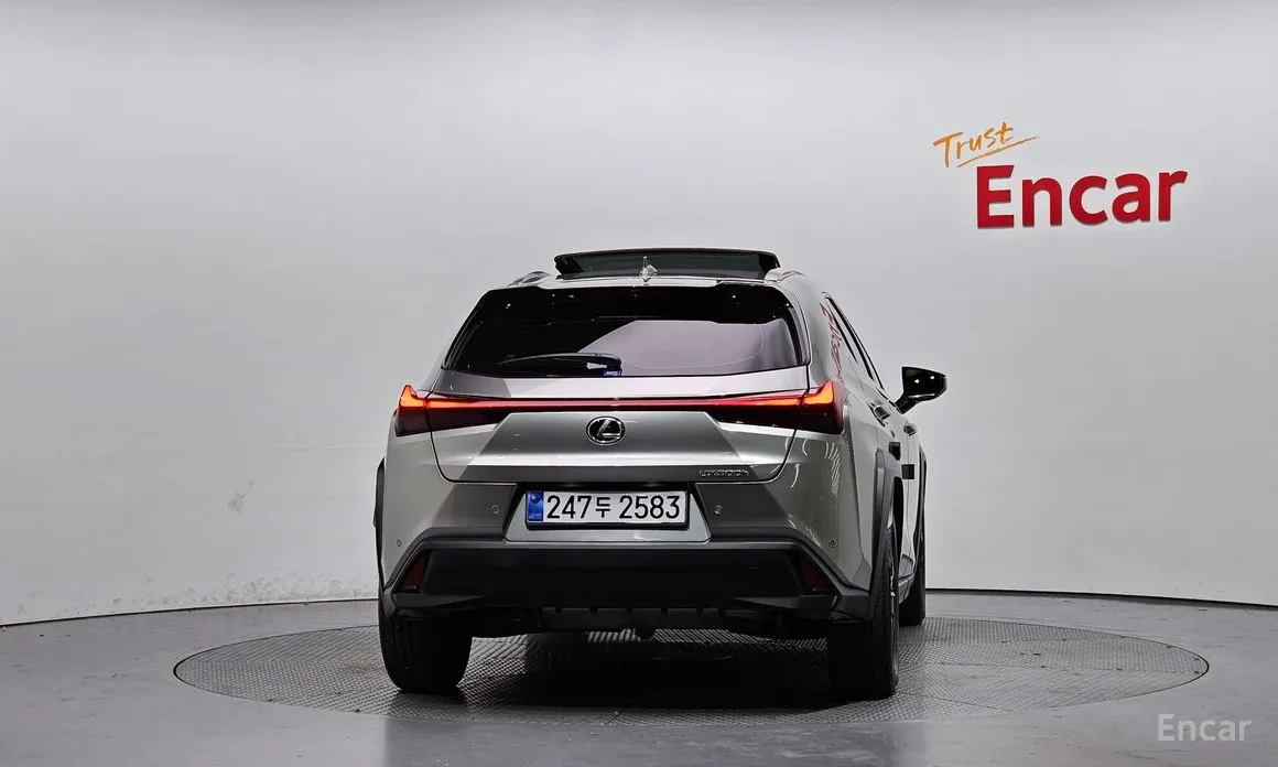 Lexus UX 2024 2.0 2WD
