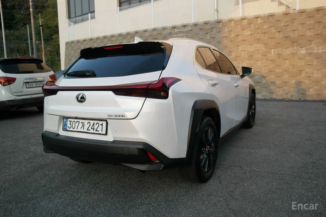 Lexus UX 2024 2.0 2WD