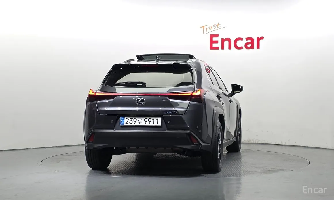 Lexus UX 2024 2.0 2WD