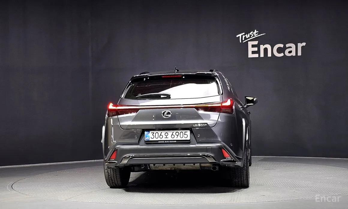 Lexus UX 2024 2.0 F-Sport 2WD