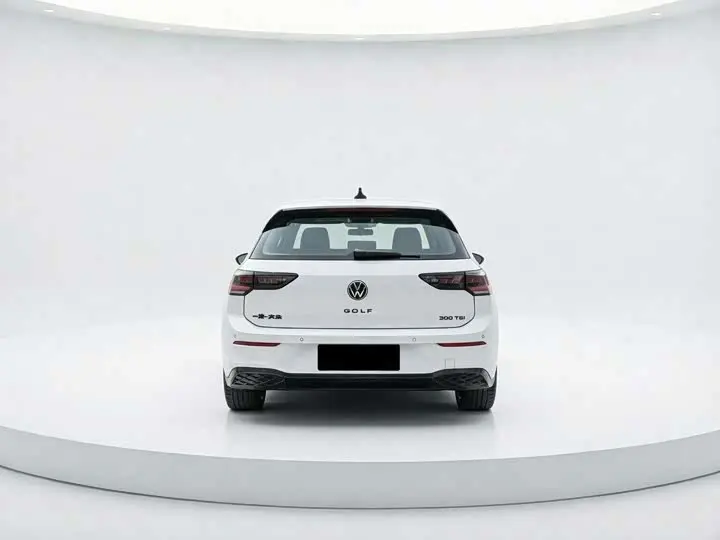 Volkswagen Golf 2025 2025款 300TSI R-Line