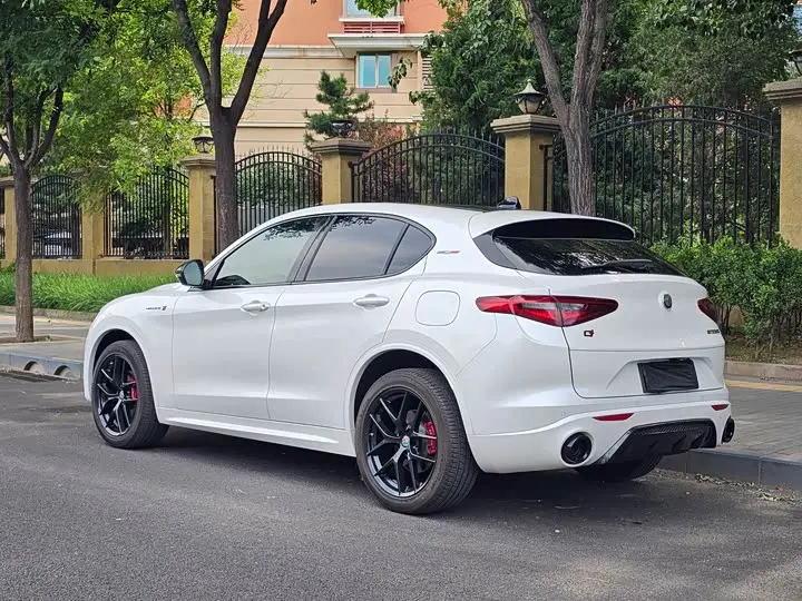 Alfa Romeo Stelvio 2021 2021款 2.0T 280HP Veloce Ti 竞速版