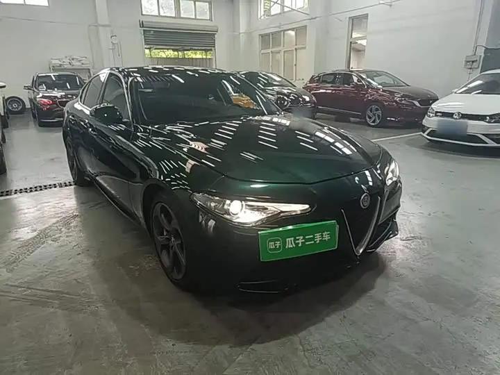 Alfa Romeo Giulia 2021 2021款 2.0T 280HP 豪华版