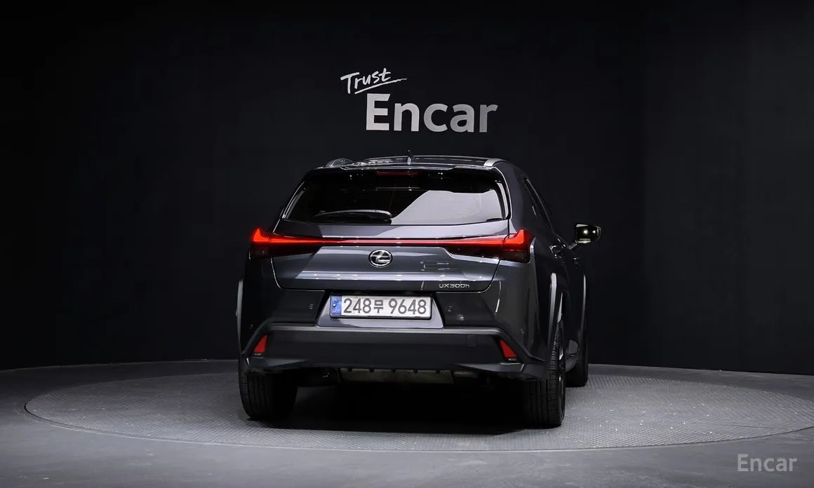 Lexus UX 2024 2.0 2WD
