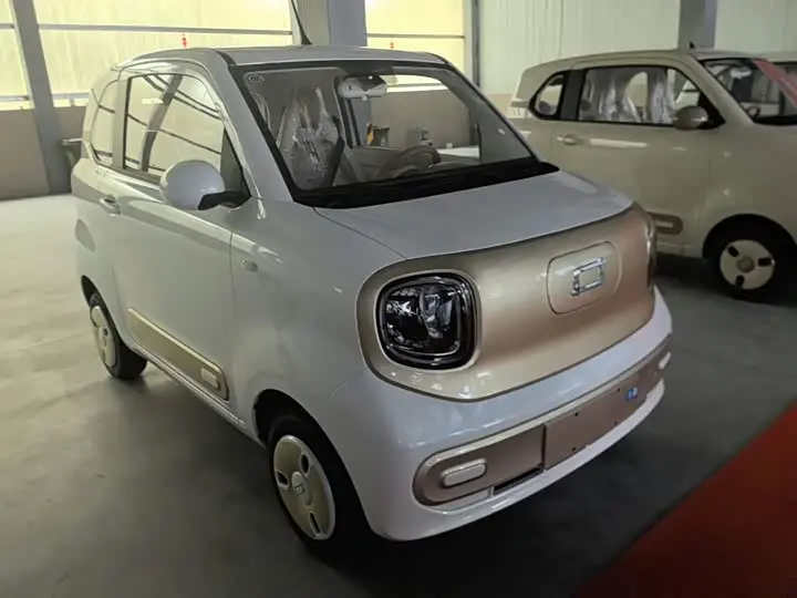 Bestune Pony 2026 2026款 222km 炫彩马