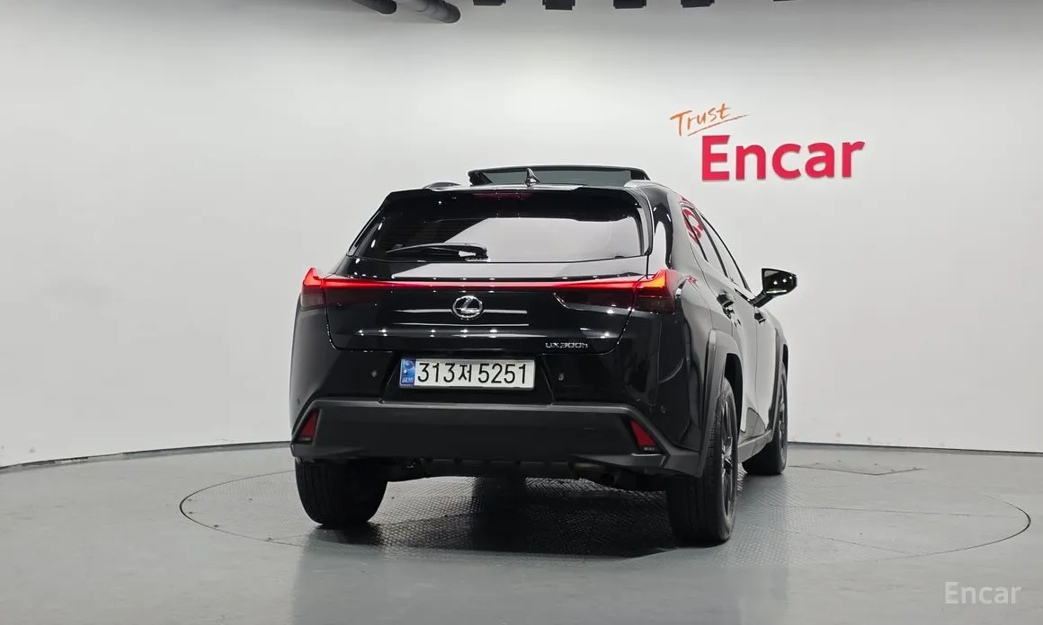 Lexus UX 2024 2.0 2WD