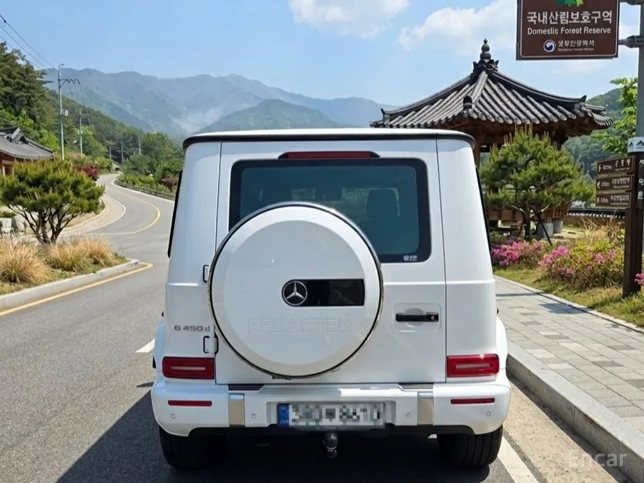 Mercedes-Benz G-Class 2024 G450d