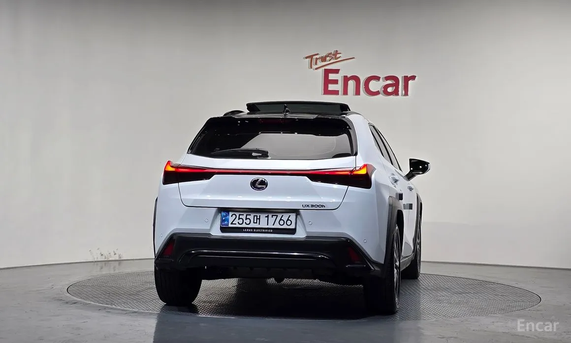 Lexus UX 2024 2.0 F-Sport 2WD