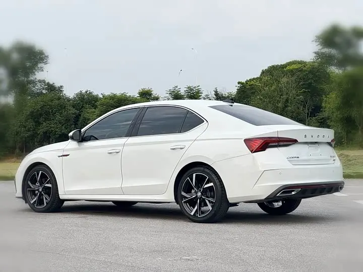 Skoda Octavia Pro 2023 2023款 改款 PRO TSI280 尊享版