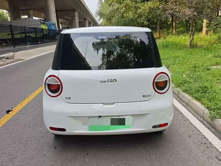 Changan Qiyuan (Nevo) Lumin 2026 2026款 宝藏版 301km 臻爱米 宁德