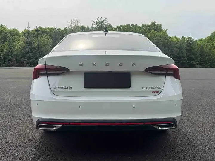 Skoda Octavia Pro 2023 2023款 改款 PRO TSI280 尊享版