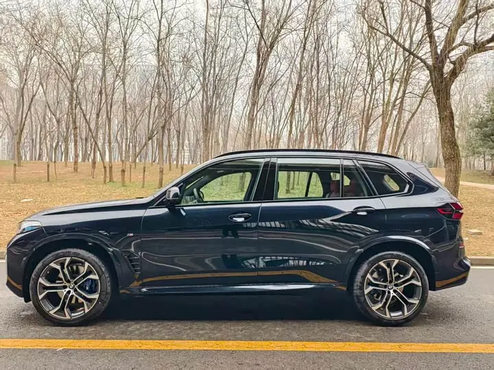 BMW X5 2026 2026款 改款 xDrive 40Li M运动曜夜套装