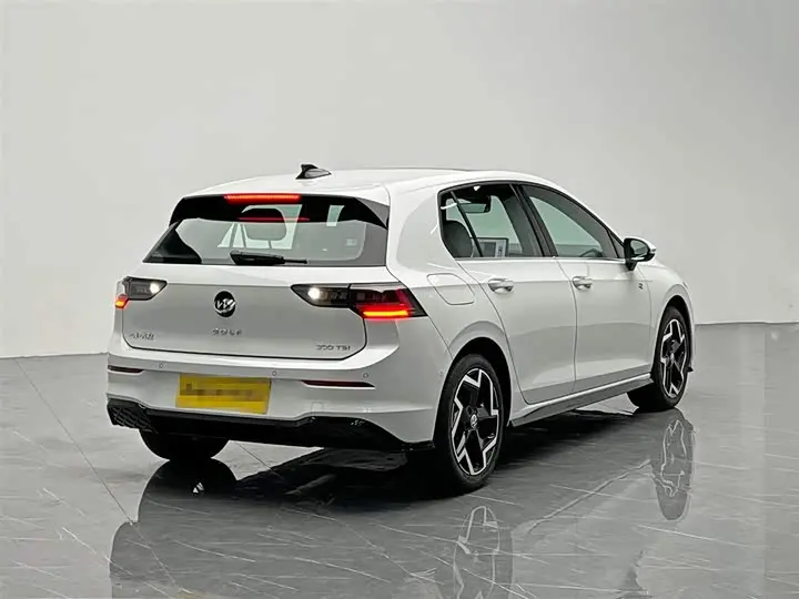 Volkswagen Golf 2025 2025款 300TSI R-Line