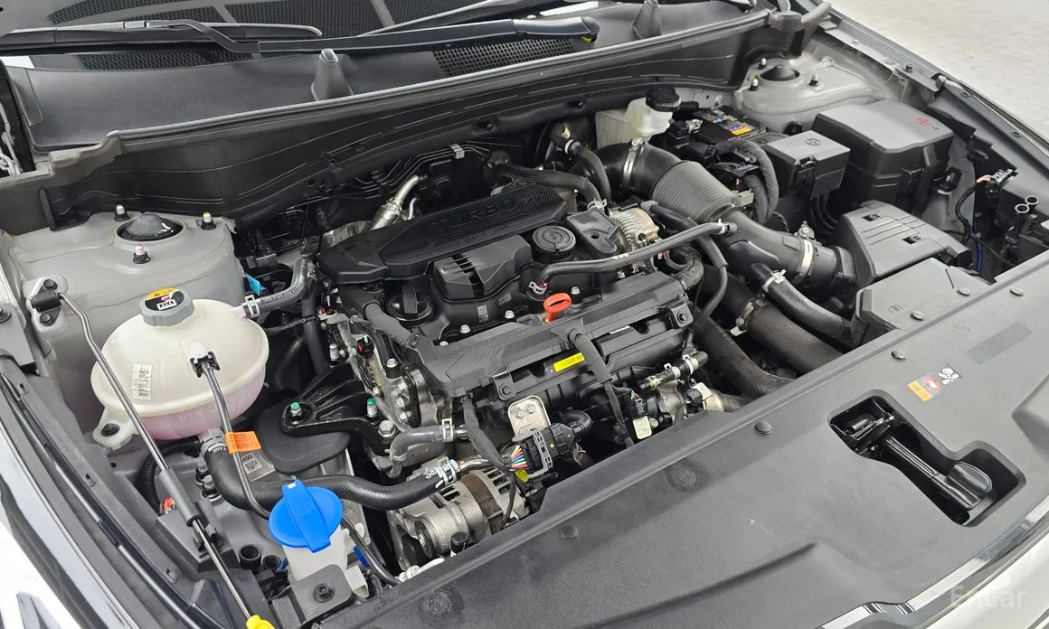 Kia Sportage 2024 Gasoline 1.6 Turbo 2WD
