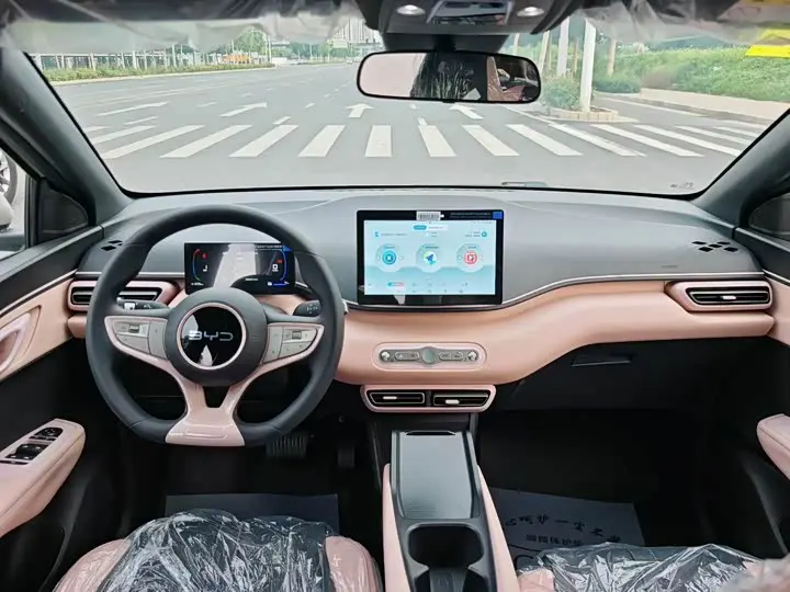 BYD Seagull 2026 2026款 305km 活力版
