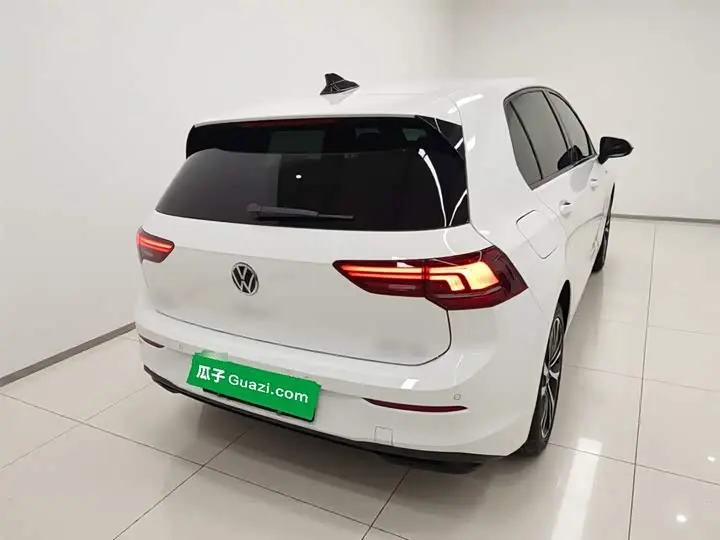 Volkswagen Golf 2025 2025款 改款 300TSI Pro