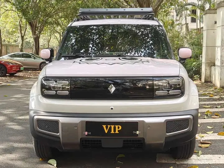 Baojun Yep Plus 2026 2026款 501km智尊版