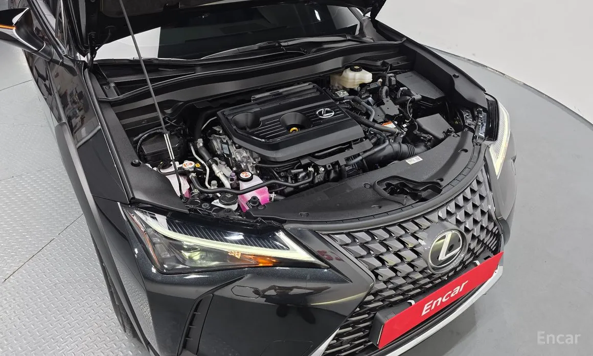 Lexus UX 2024 2.0 2WD
