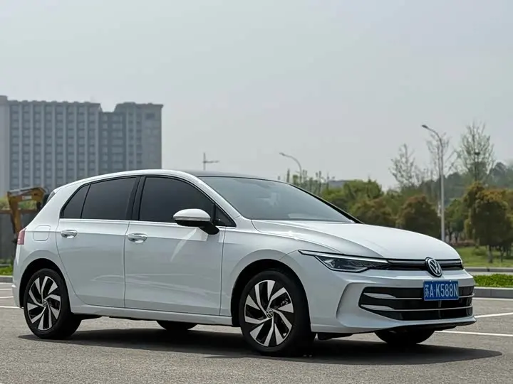 Volkswagen Golf 2025 2025款 改款 300TSI Pro