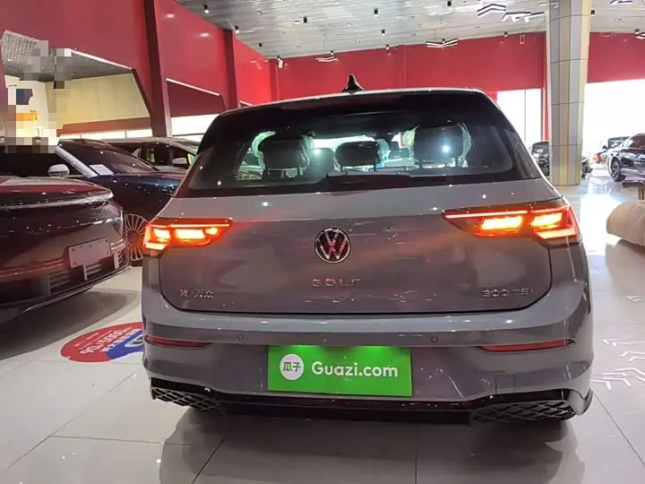 Volkswagen Golf 2025 2025款 改款 300TSI R-Line