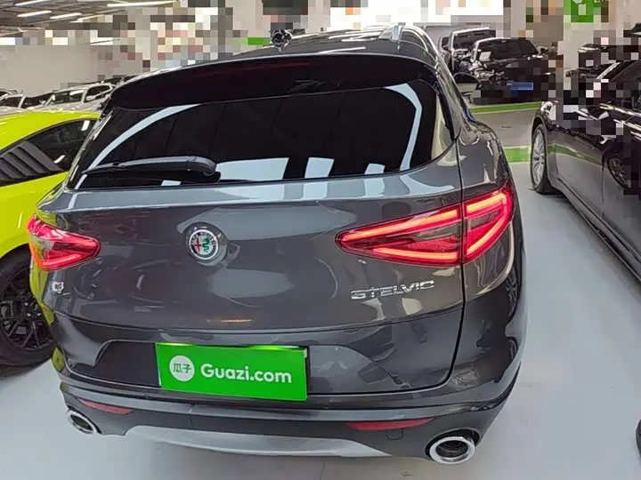 Alfa Romeo Stelvio 2020 2020款 2.0T 280HP 豪华版
