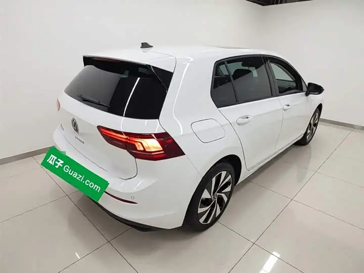 Volkswagen Golf 2025 2025款 改款 300TSI Pro