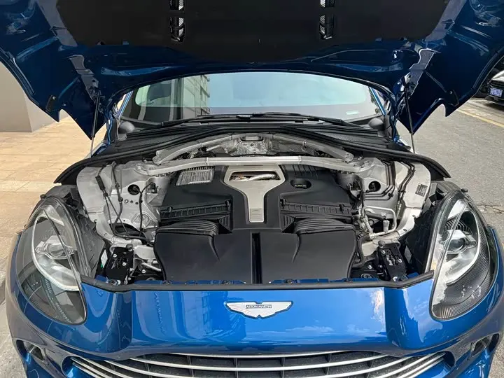 Aston Martin DBX 2024 2024款 4.0T V8