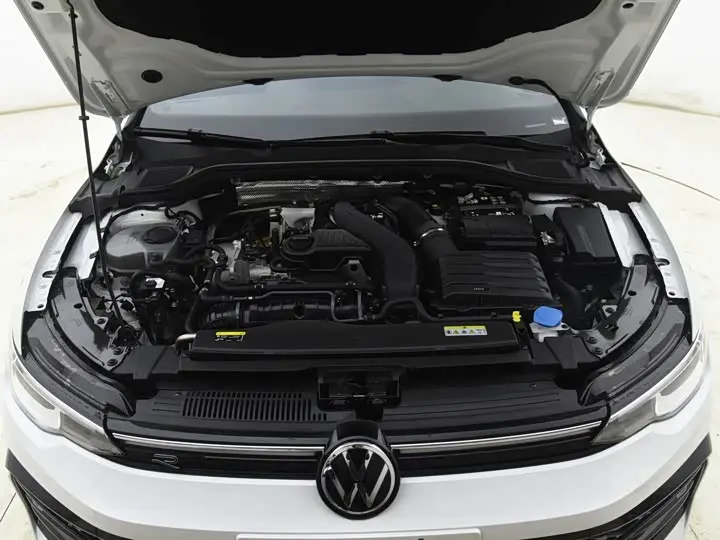 Volkswagen Golf 2025 2025款 300TSI R-Line