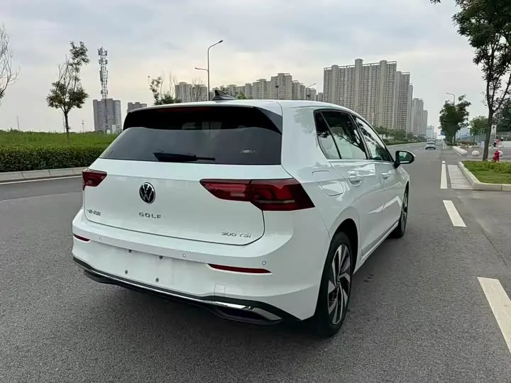 Volkswagen Golf 2025 2025款 300TSI Pro