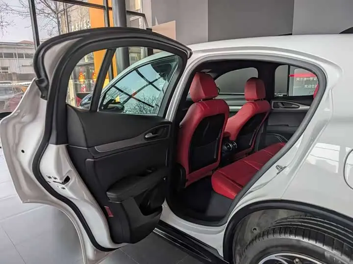 Alfa Romeo Stelvio 2023 2023款 2.0T 280HP Veloce赛道版