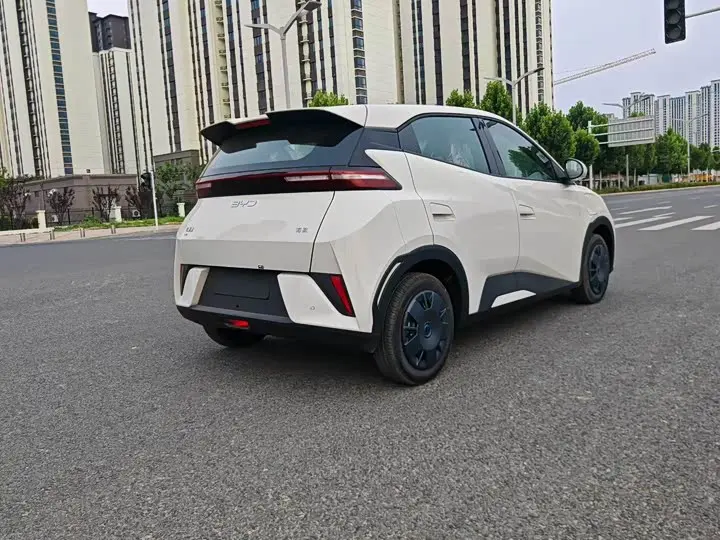 BYD Seagull 2026 2026款 305km 活力版