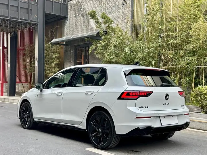 Volkswagen Golf 2025 2025款 300TSI R-Line
