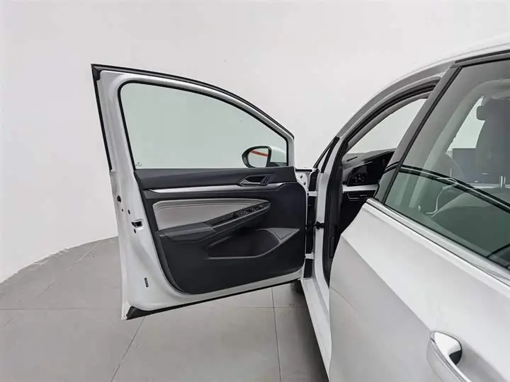 Volkswagen Golf 2026 2026款 300TSI Pro