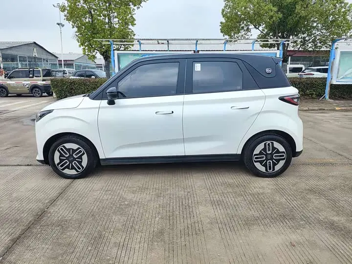 Chery QQ Duomi 2025 2025款 305km 舒享型