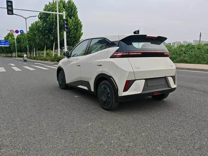 BYD Seagull 2026 2026款 305km 活力版