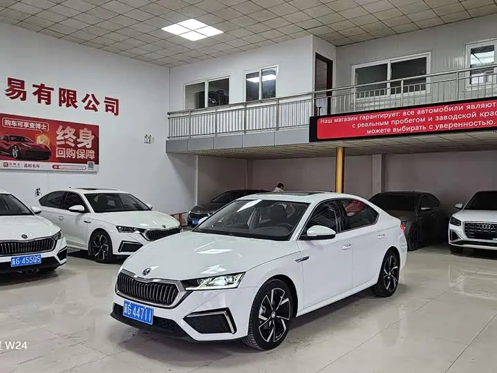 Skoda Octavia Pro 2024 2024款 PRO TSI280 尊享版