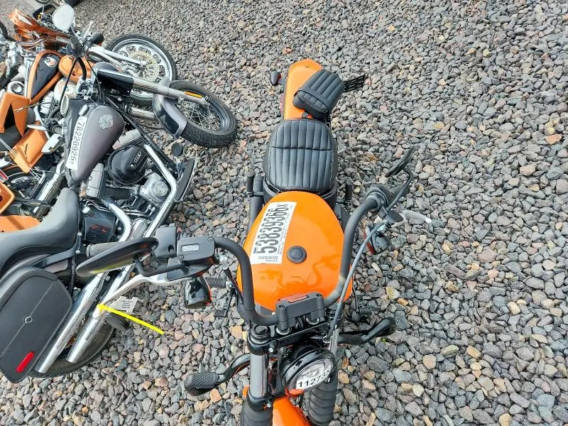 HARLEY-DAVIDSON ALL OTHER 2024