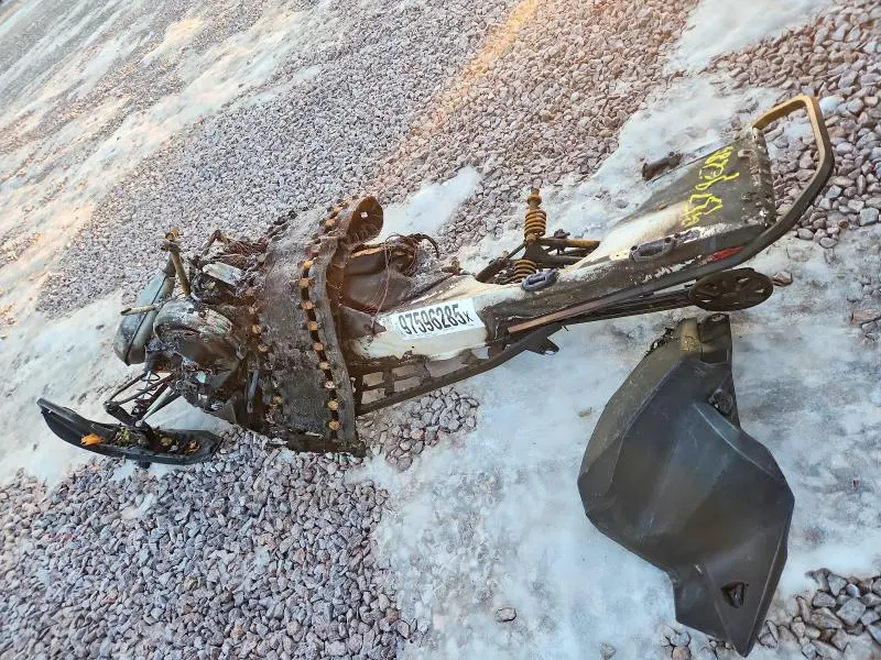 SKI-DOO RECREATION 2024