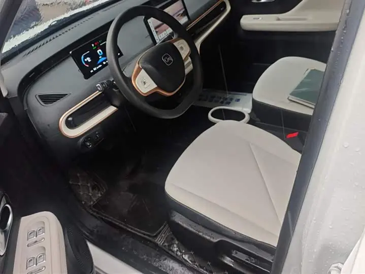 Chery QQ Duomi 2025 2025款 305km 舒享型