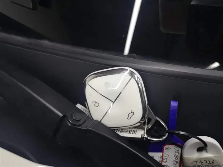 Baojun Yep Plus 2026 2026款 301km旗舰版
