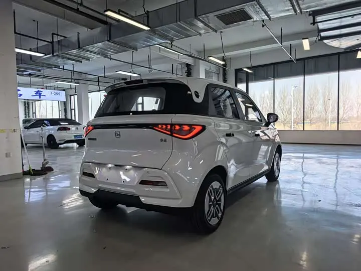 Chery QQ Duomi 2025 2025款 305km 舒享型