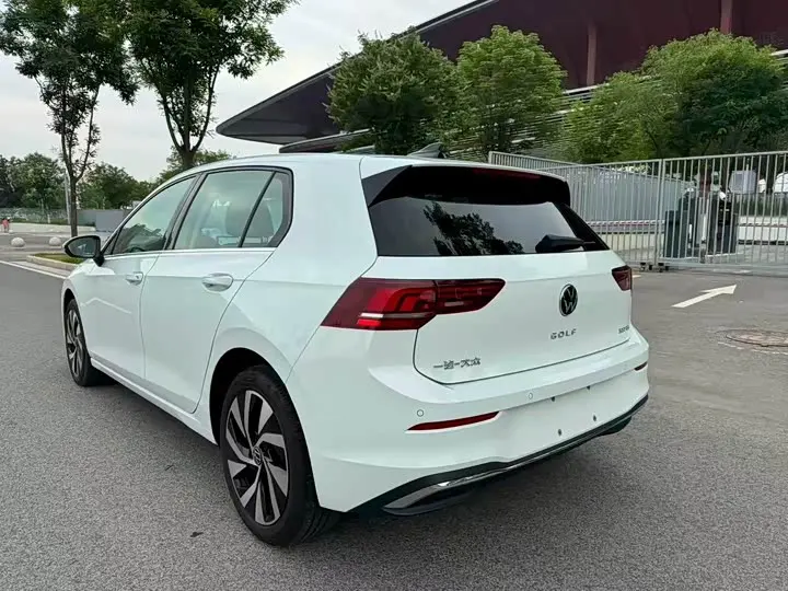 Volkswagen Golf 2025 2025款 300TSI Pro