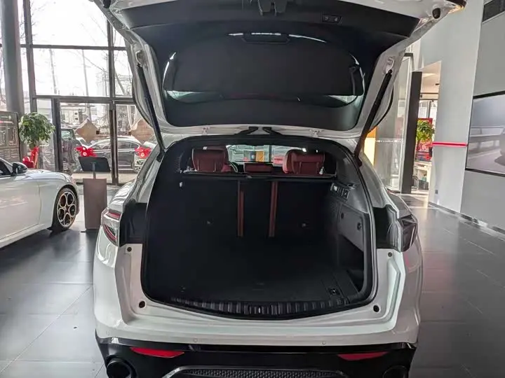 Alfa Romeo Stelvio 2023 2023款 2.0T 280HP Veloce赛道版